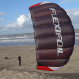Sting 4 line Power Kite